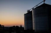 Grain Bin
