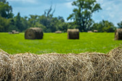 HayBale