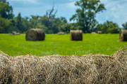 HayBale