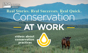 conservation at work