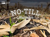 No till stubble graphic