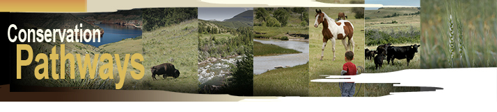 NRCS Montana Conservation Pathways Newsletter