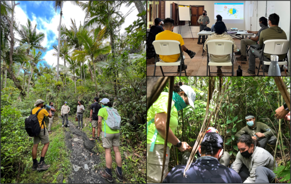 NRCS lidera taller de suelos para intérpretes del Bosque Nacional El Yunque