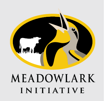 Meadowlark Initiative Logo