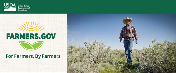 Man walking on rangeland