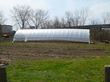 High tunnel in a city