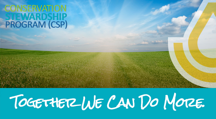 CSP graphic