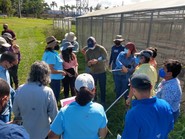 Field demonstration of grasslands identification in Isabela, PR.