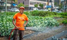 Urban Agriculture, National Photo
