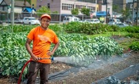 Urban Agriculture, National Photo