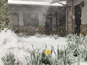 Lonoke Service Center