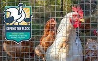 Defend the Flock