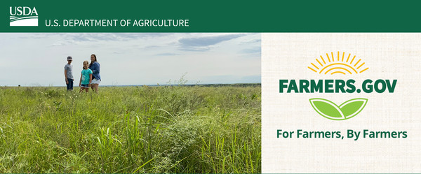 Three people standing in a grassland