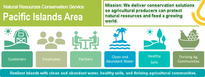 PIA E-News New Header