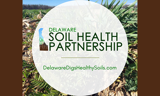 Delaware Soil Health Partnership Website