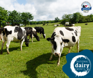National Dairy Month June