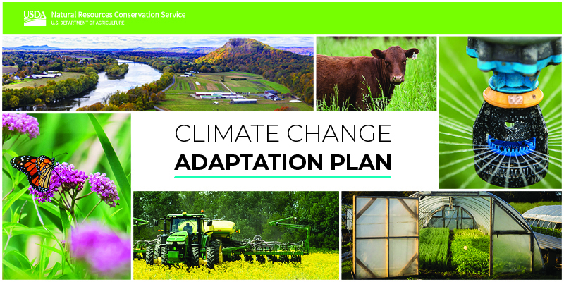 Climate Change adaptation