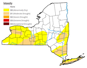 NY Drought Monitor flickr