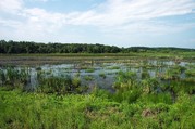 Wetland - WREP - Aug 2022 News Release