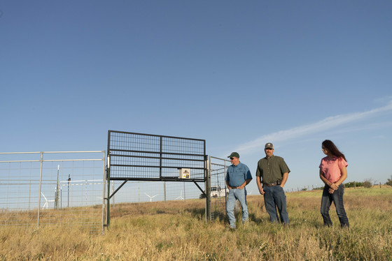 Feral Swine Trap