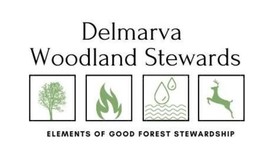 Delmarva Woodland Stewards 