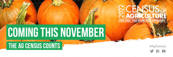 Coming This November