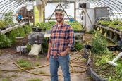 dude greenhouse