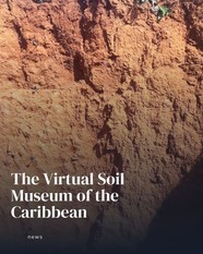 Soil profile photo with text overlay that says "Virtual Soil of the Caribbean"