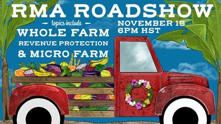 USDA FPAC Hawaii and Pacific Basin November Newsletter