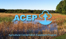 Agricultural Conservation Easement Program -Wetland Reserve Easement