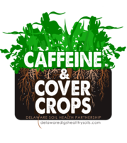 Caffeine and Cover Crops 