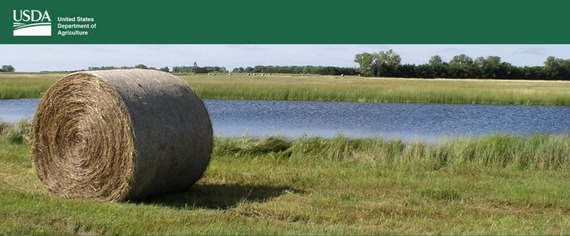 USDA Invests Nearly $4.7 Million in Wetland Mitigation Banks