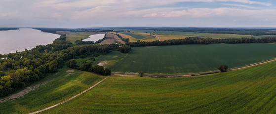 farm fields with forested buffers adjacent to a river