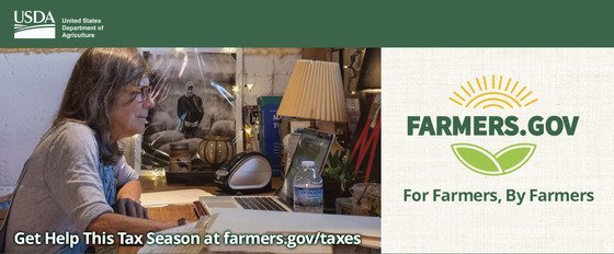 Get help this tax season at farmers.gov/taxes