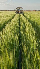 Harvesting