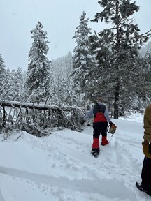 john with chainsaw mores creek