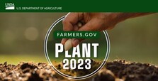 Plant 2023