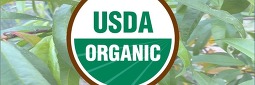 USDA Organic Logo with plant leaves in background of banner image.