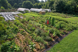 GA Urban Ag Farm with Land Trust