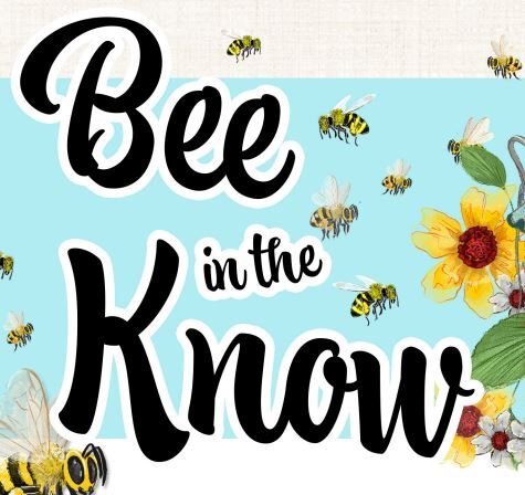 Bee in the Know