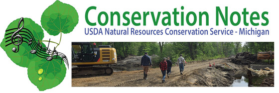Conservation Notes - Michigan, Construction site of Dowagiac River re-meandering project.
