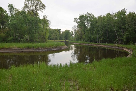 A meander created on the Dowagiac River during phase one of the project by the Pokagon Band Potawatomi Indians. 