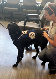 NRCS Engineer Lexie Feutz with dog Zing  who demonstrated for a presentation by Paws for a Cause. 