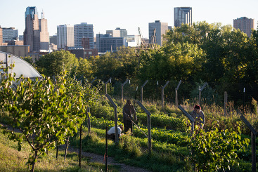 USDA Invests $7.4 Million In 25 Urban Agriculture And Innovative ...