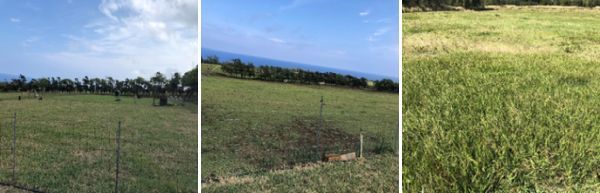 Goat and horse grazing areas.