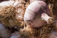 flickr garlic