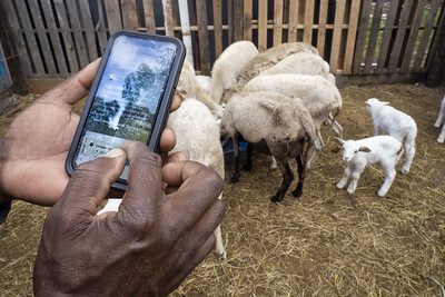 farmers.gov