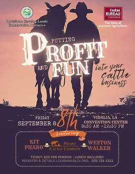 Flyer for Putting Profit and Fun Into Your Cattle Business