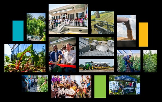 Collage of Louisiana Agriculture