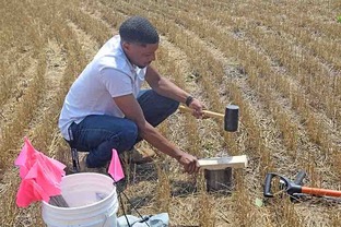 USDA Thurgood Marshall Intern Trey Jones conducts a soil health assessment in a field in Ionia County.